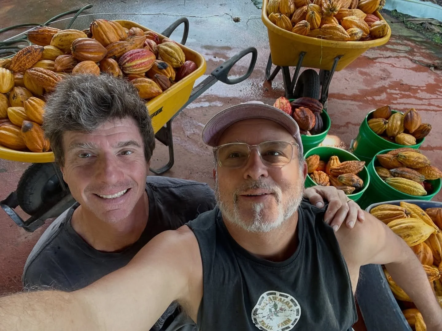 A week after the end of coffee season, we finally had time to harvest cacao. Not a bad haul

#cacao #chocolate #konachocolate #kaawaloa #gayfarmer