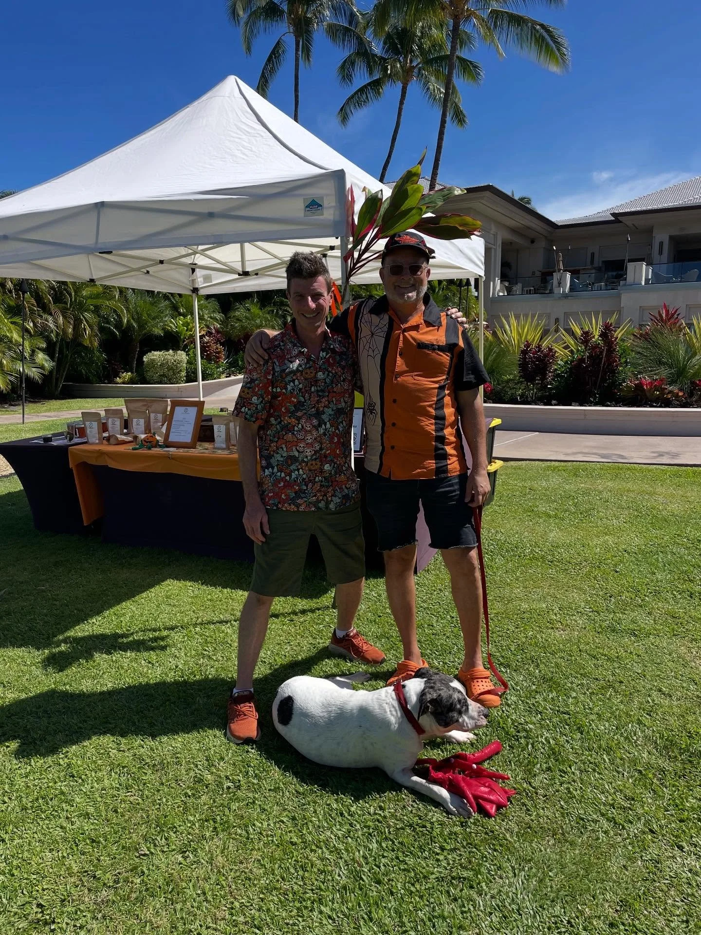 Poor pup didn't like his squid headdress 🦑 Happy Halloween! 

#happyhalloween 
#halloween 
#gaycoffee 
#gayfarmer 
#gayfarmers 
#makeke
