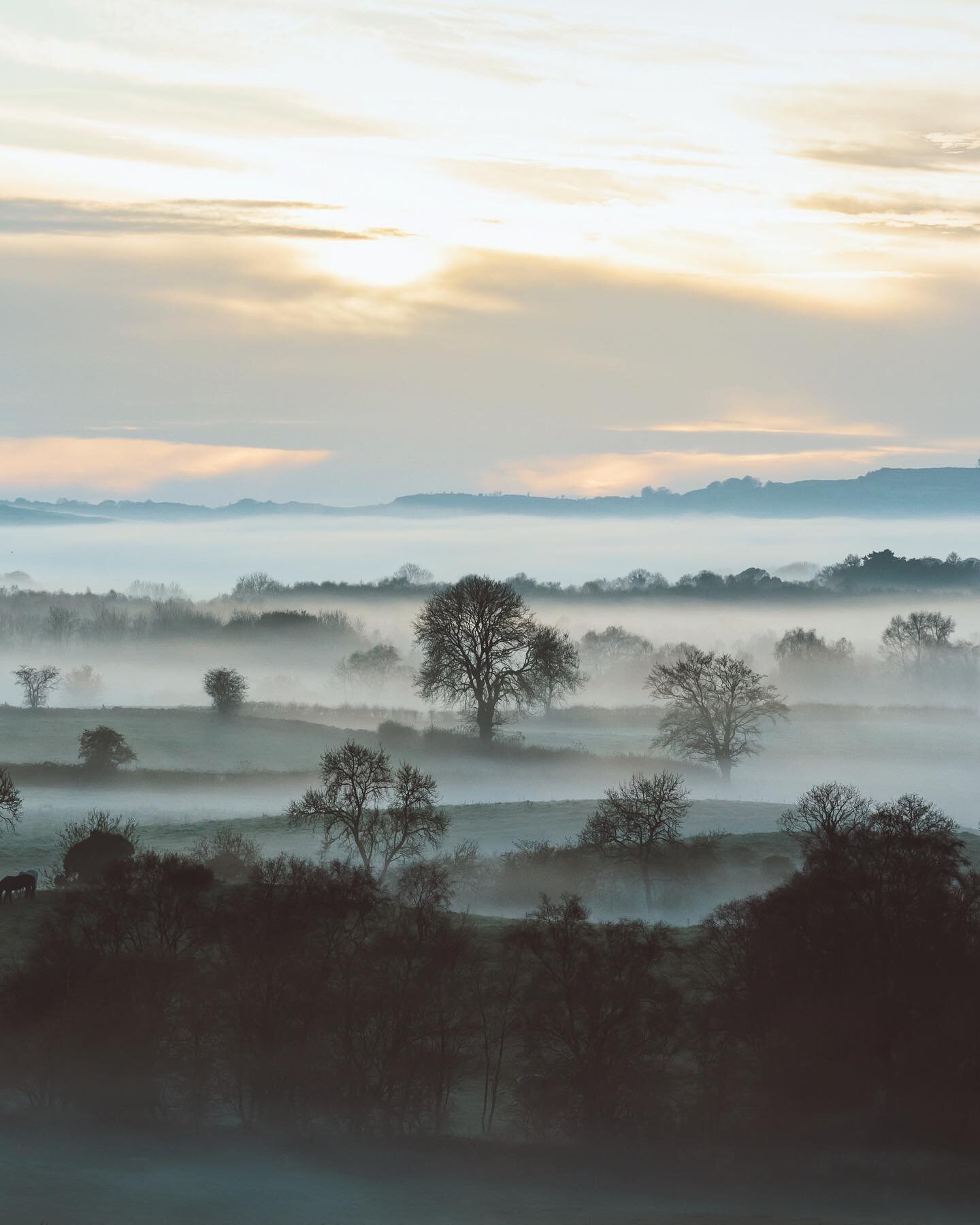 Foggy mornings in the Irish countryside.
