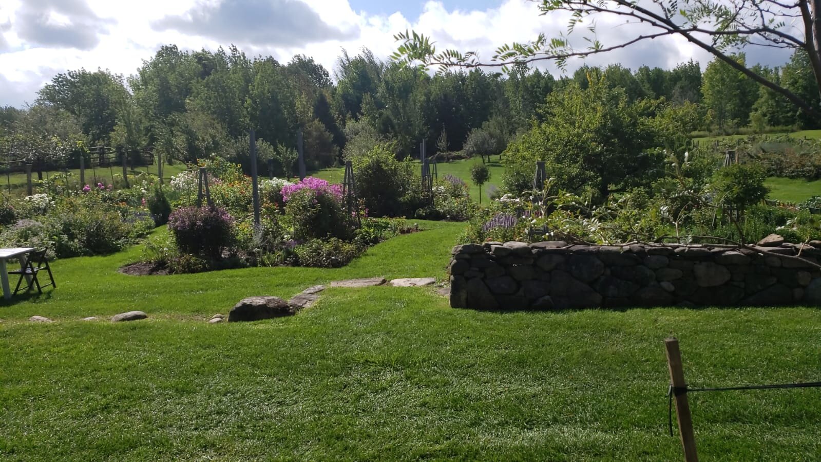 Re-Opening Our Church Buildings, Restoration of the Soul, Days this Week to Honour, Ken Sehested's Weekly Meditation