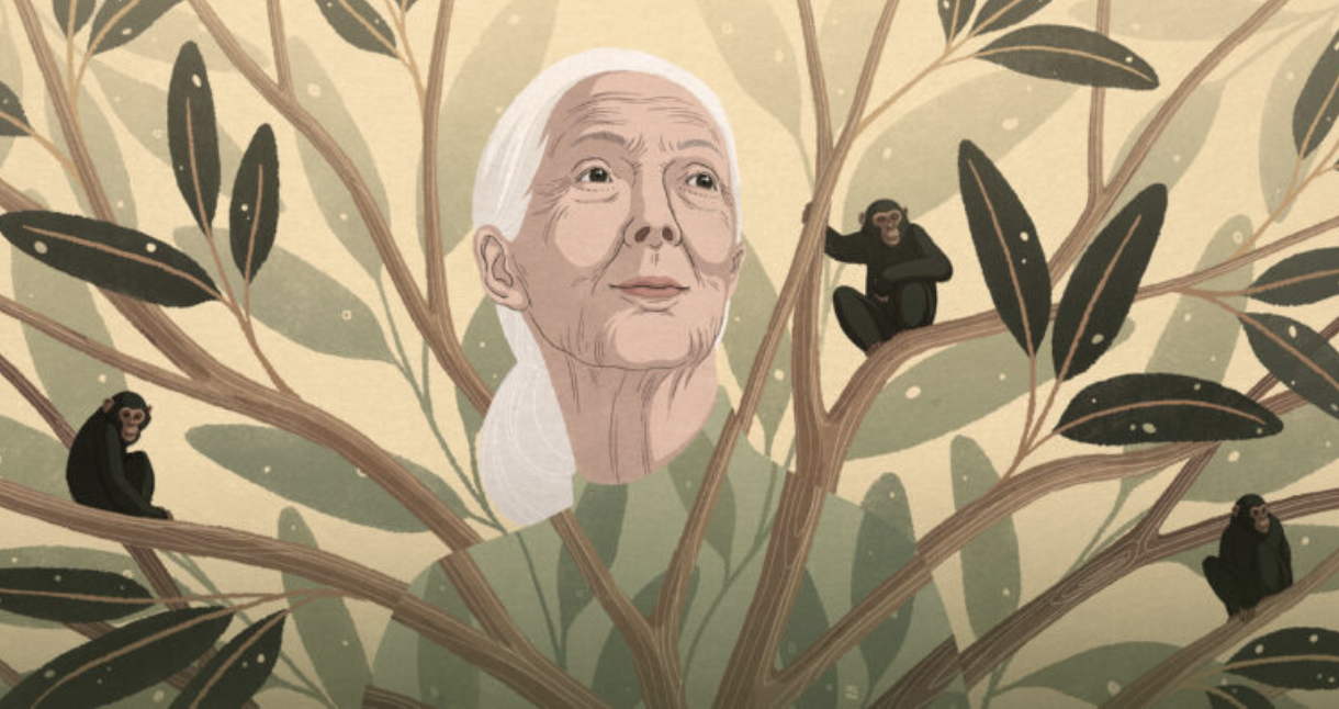 What It Means to Be Human, Jane Goodall