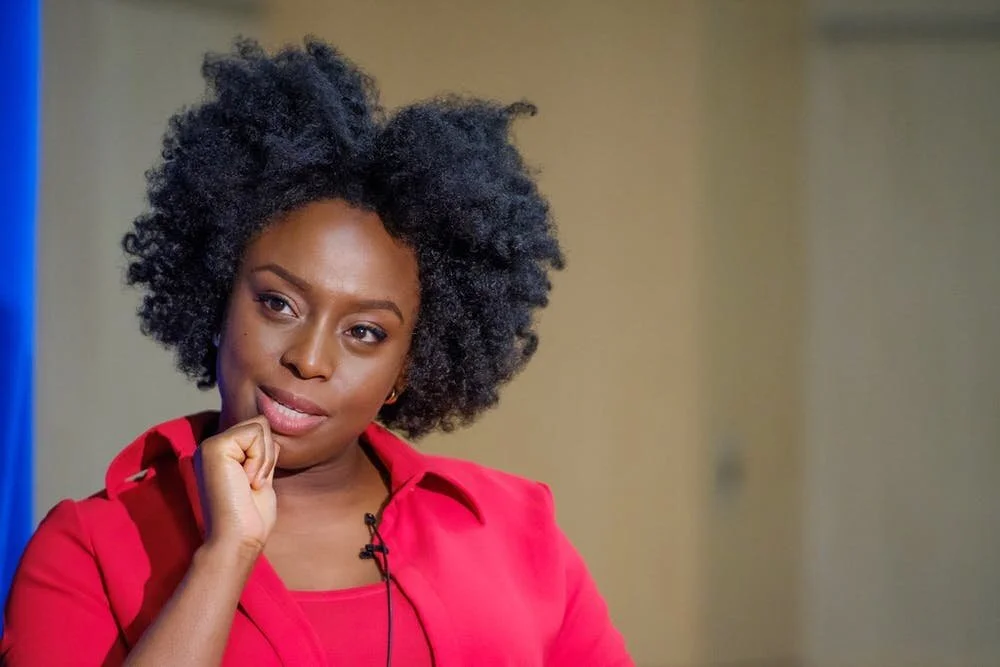 The Danger of a Single Story, Chimamanda Ngozi Adichie