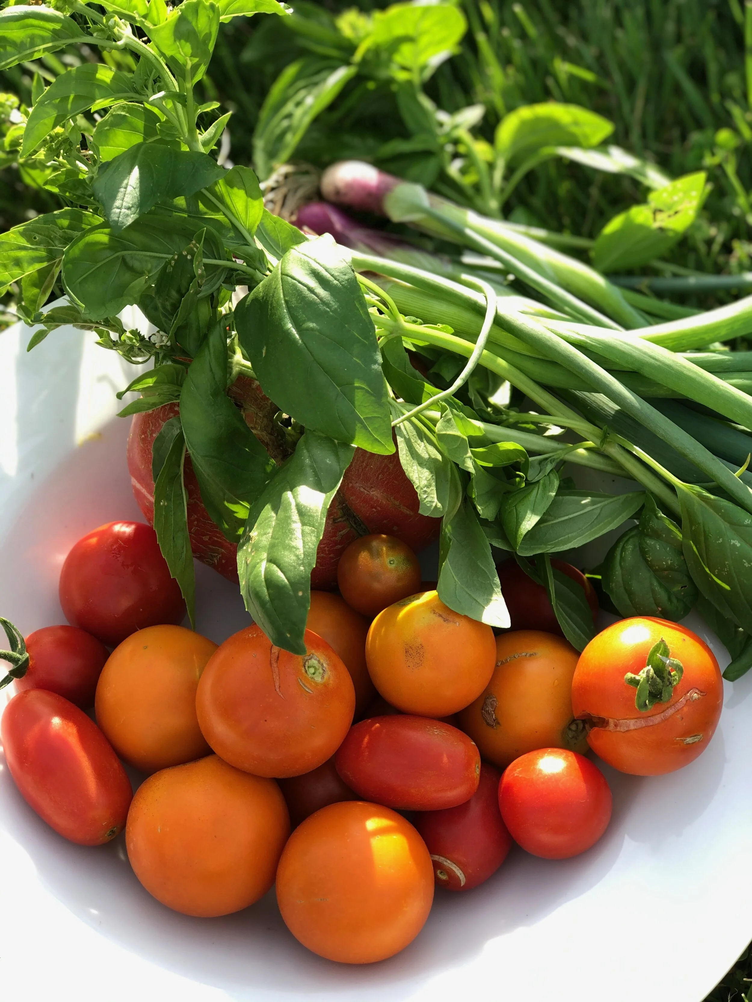 Oh, Canada, Do You Know Where Your Food Comes From?