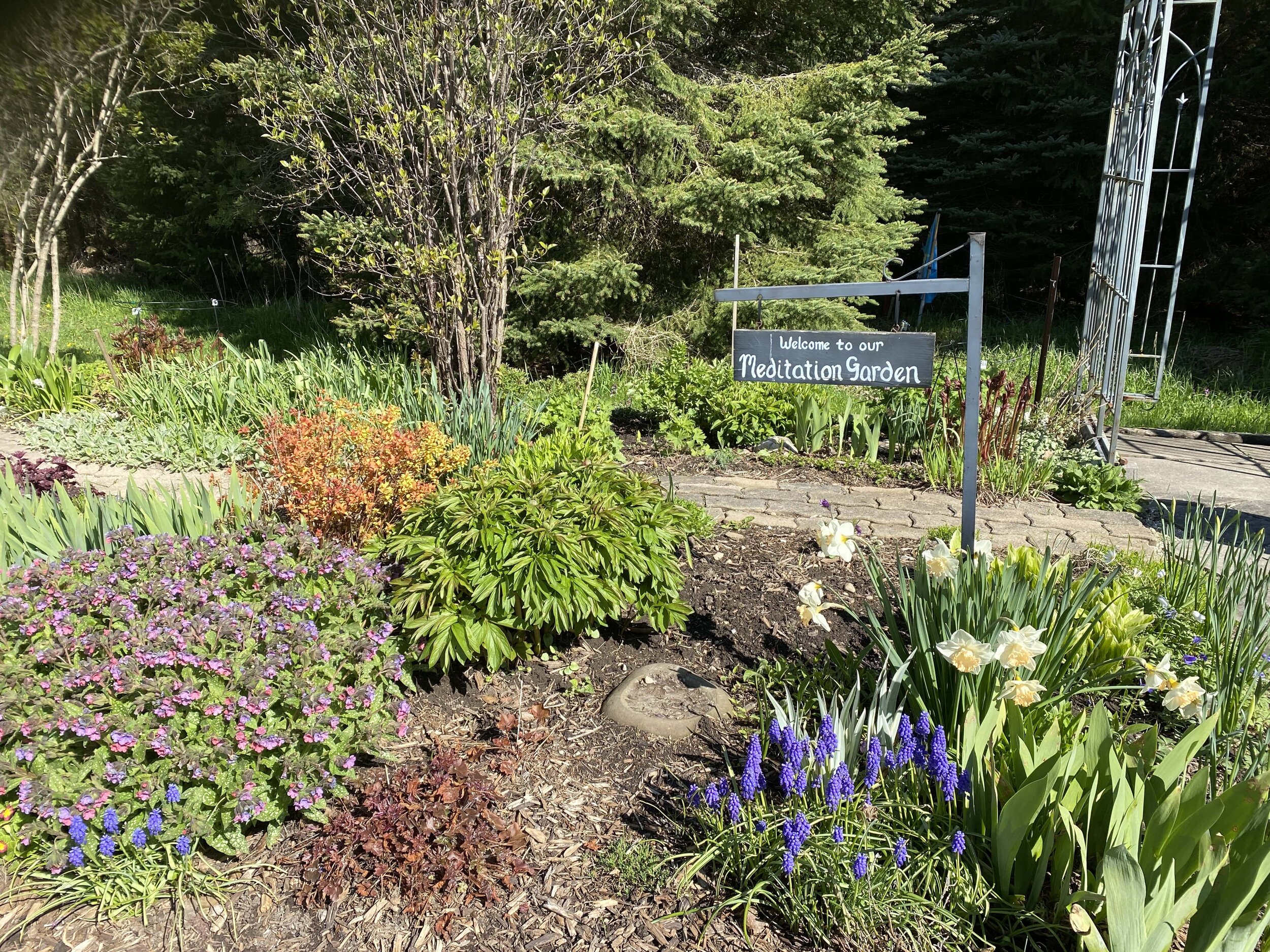 Garden blooming in the spring