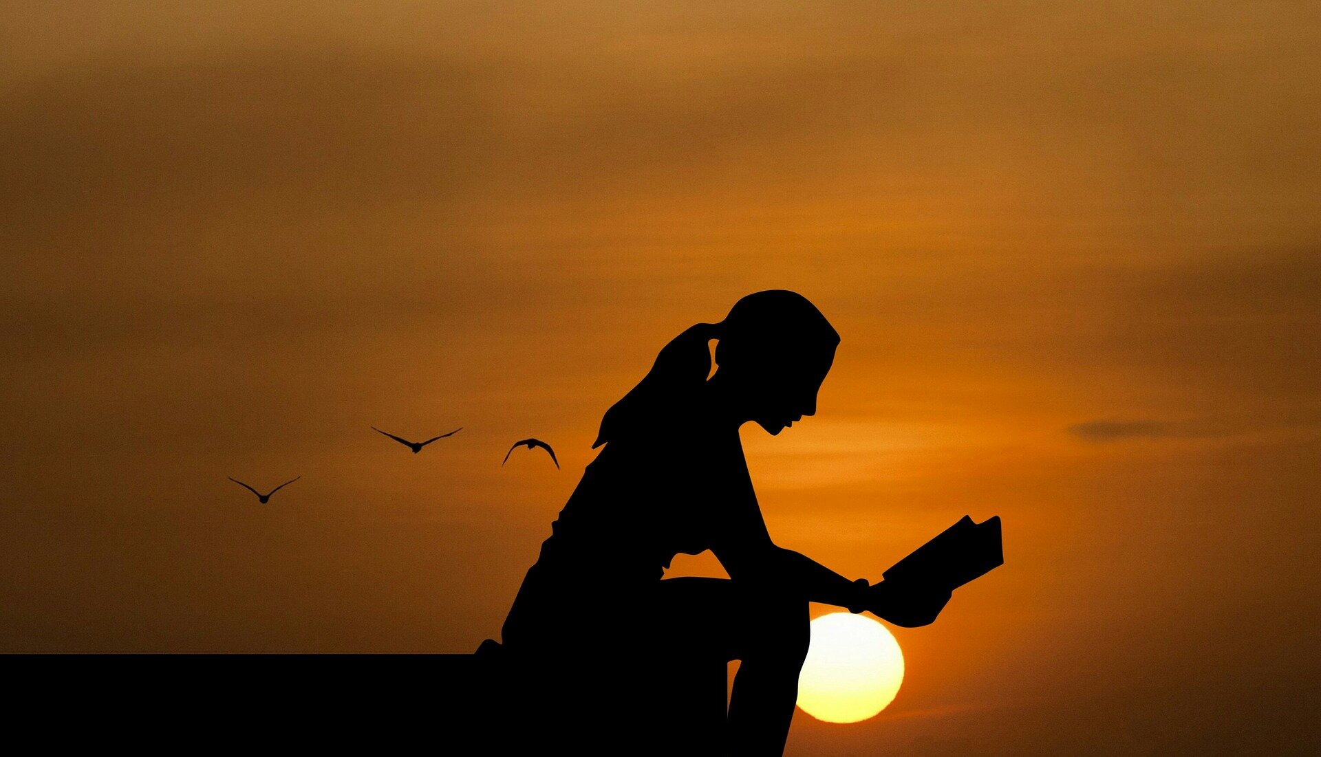 Lady reads a book at sunset