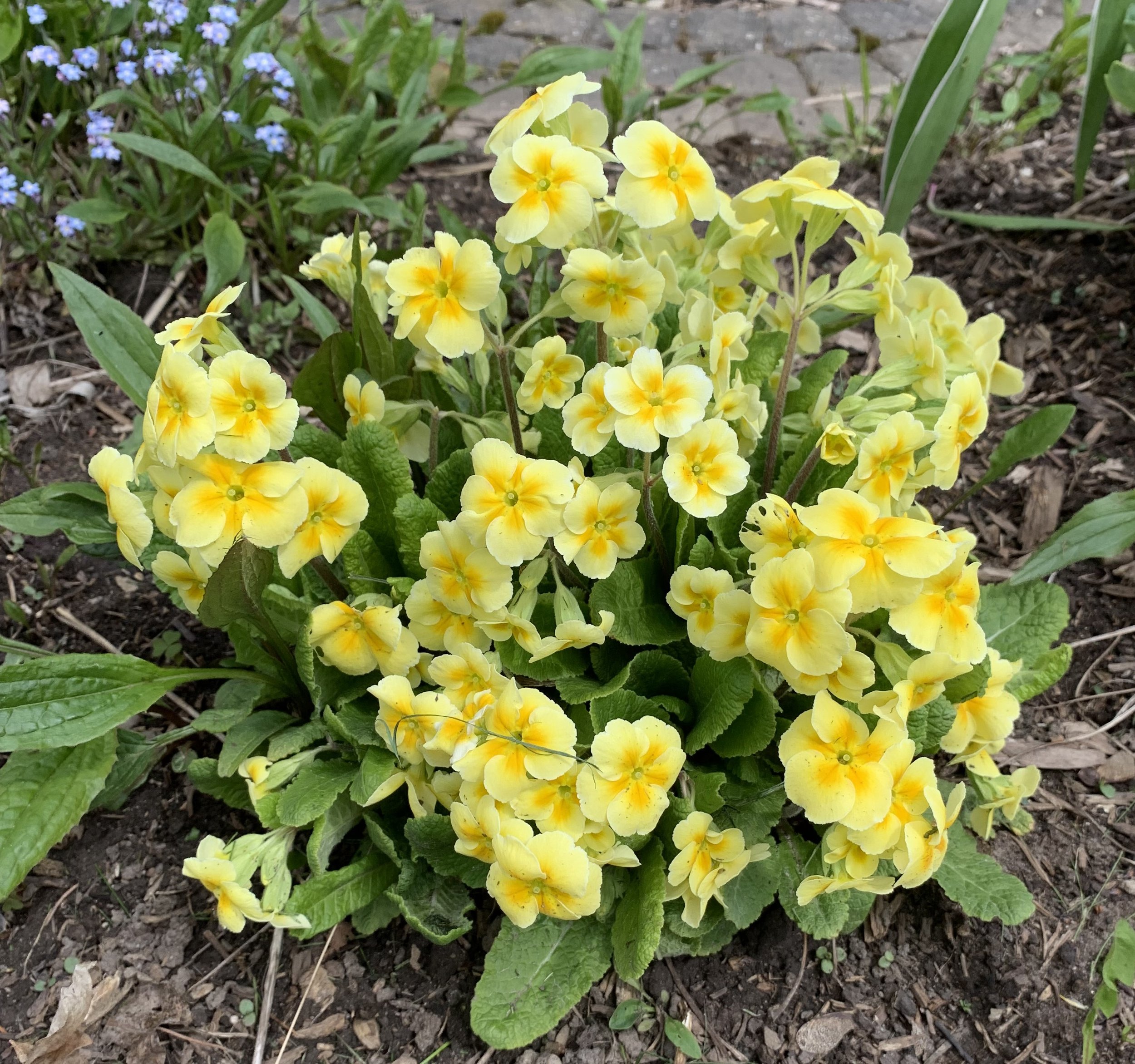 TPUC Summer Newsletter 2024