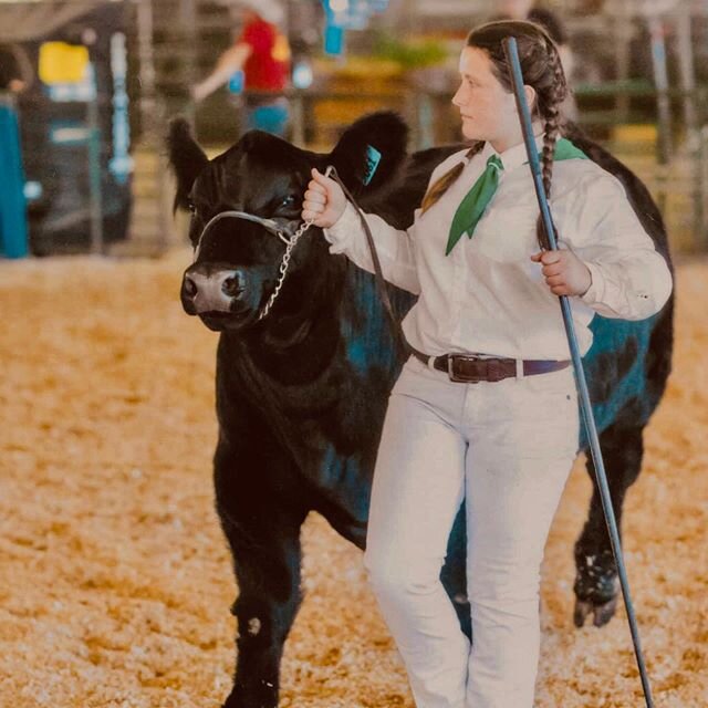 This weekend our cart will be 4H themed to promote the upcoming Jr. Livestock auction! We will have informative flyers about this years auction and our bouquets will all be wrapped with 4H ribbon! Here's a message from Gracie: 💚🤍 Hello! I joined 4H