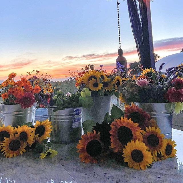 Last nights harvest 🤩 We will have tons of flowers on the cart today! Swing on by today to pick up some flowers and make sure to grab one of Gracie&rsquo;s flyers about 4H and what the fair auction is going to look like this year! 🍀