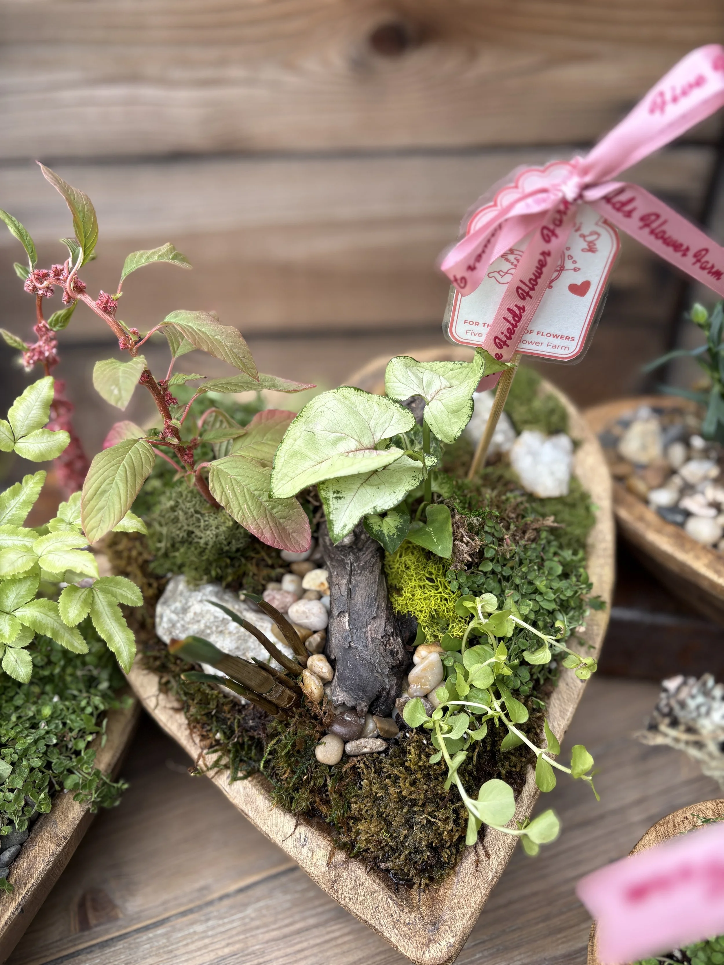 Thoughtfully Hand-Planted Heart Dough Bowl / Living Botanical Arrangement