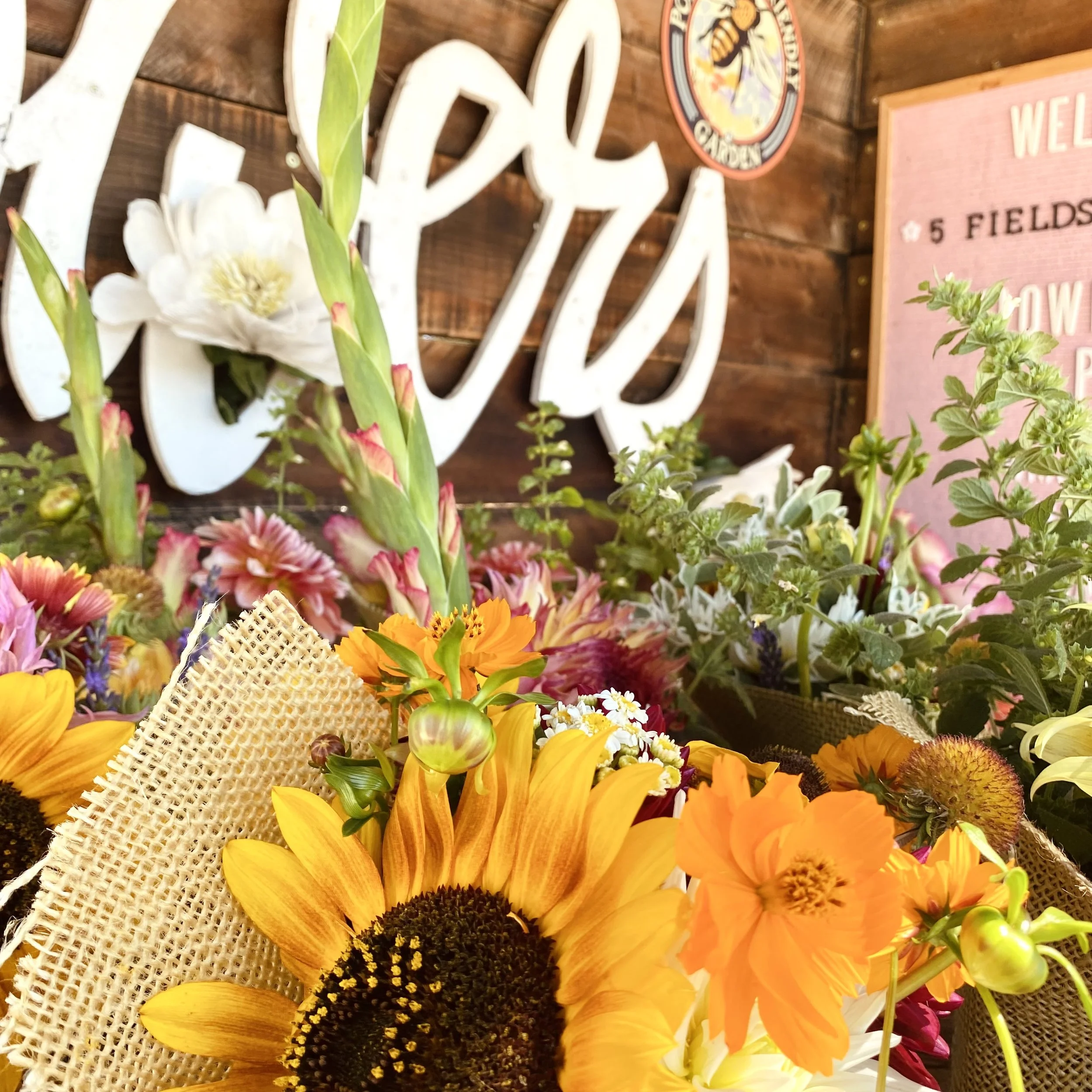 Five Fields Flower Farm