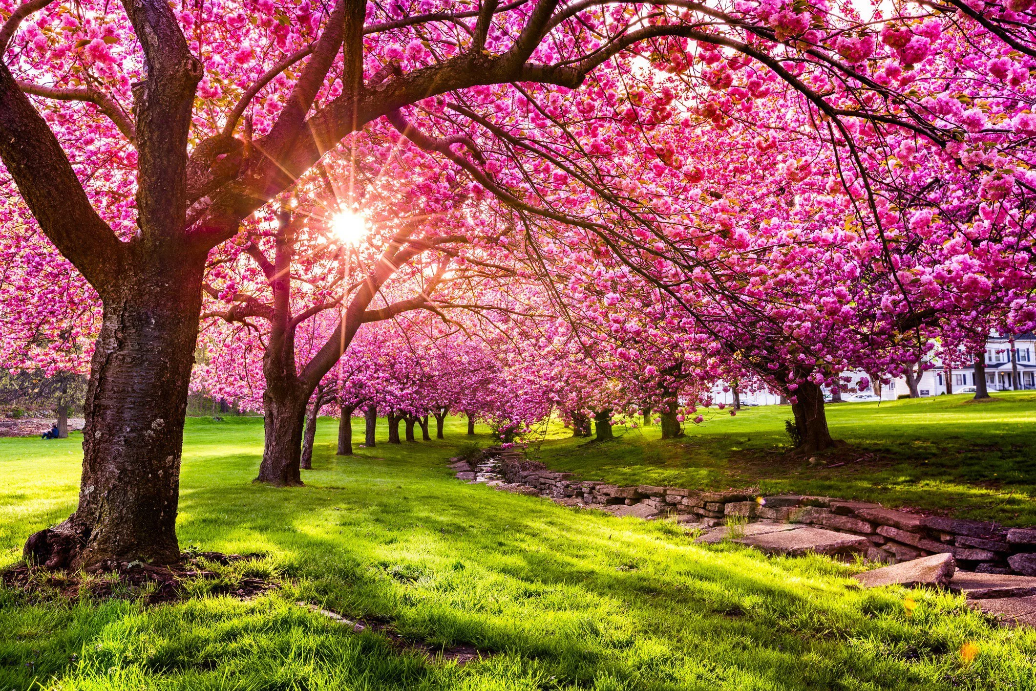 April in New Jersey: The Luxury Spring Market Is Here
