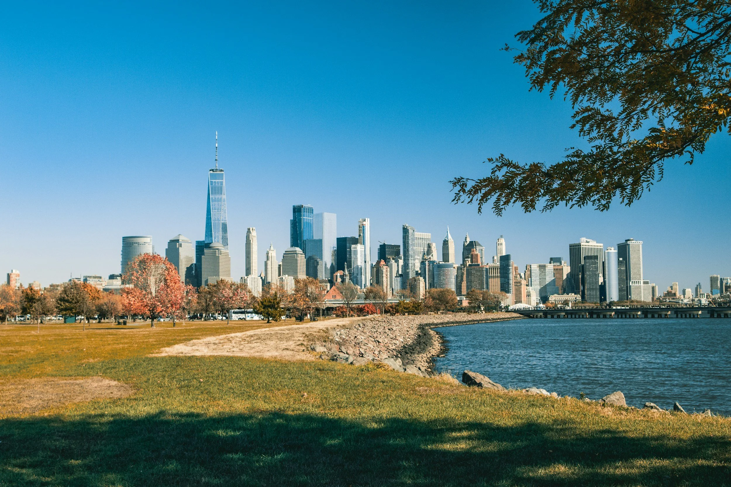 The New Jersey Market at Mid-Year