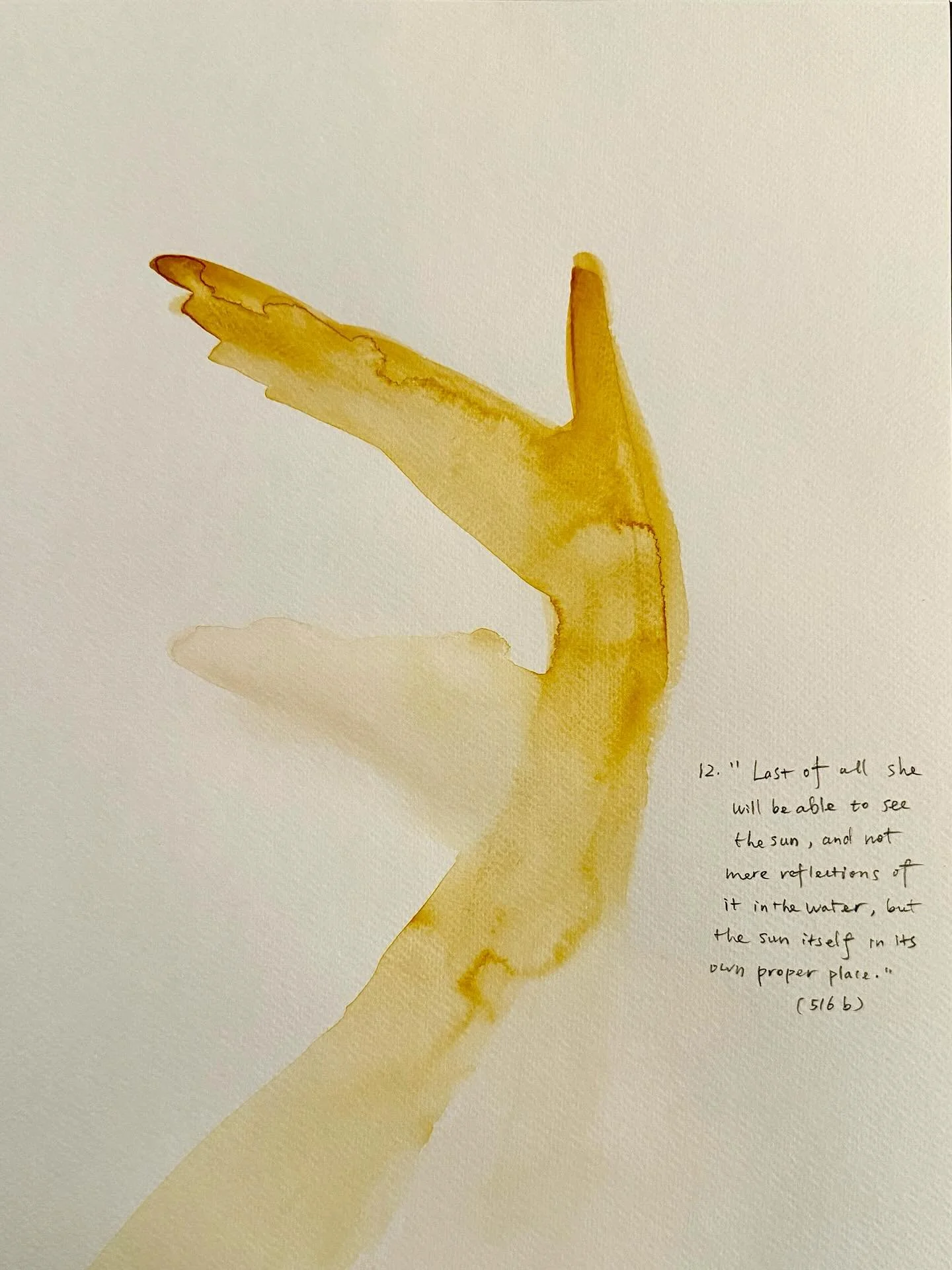 Shadow No. 12.	&ldquo;Last of all she will be able to see the sun, and not mere reflections of it in the water, but the sun itself in its own proper place.&rdquo; (516b)

#Plato
