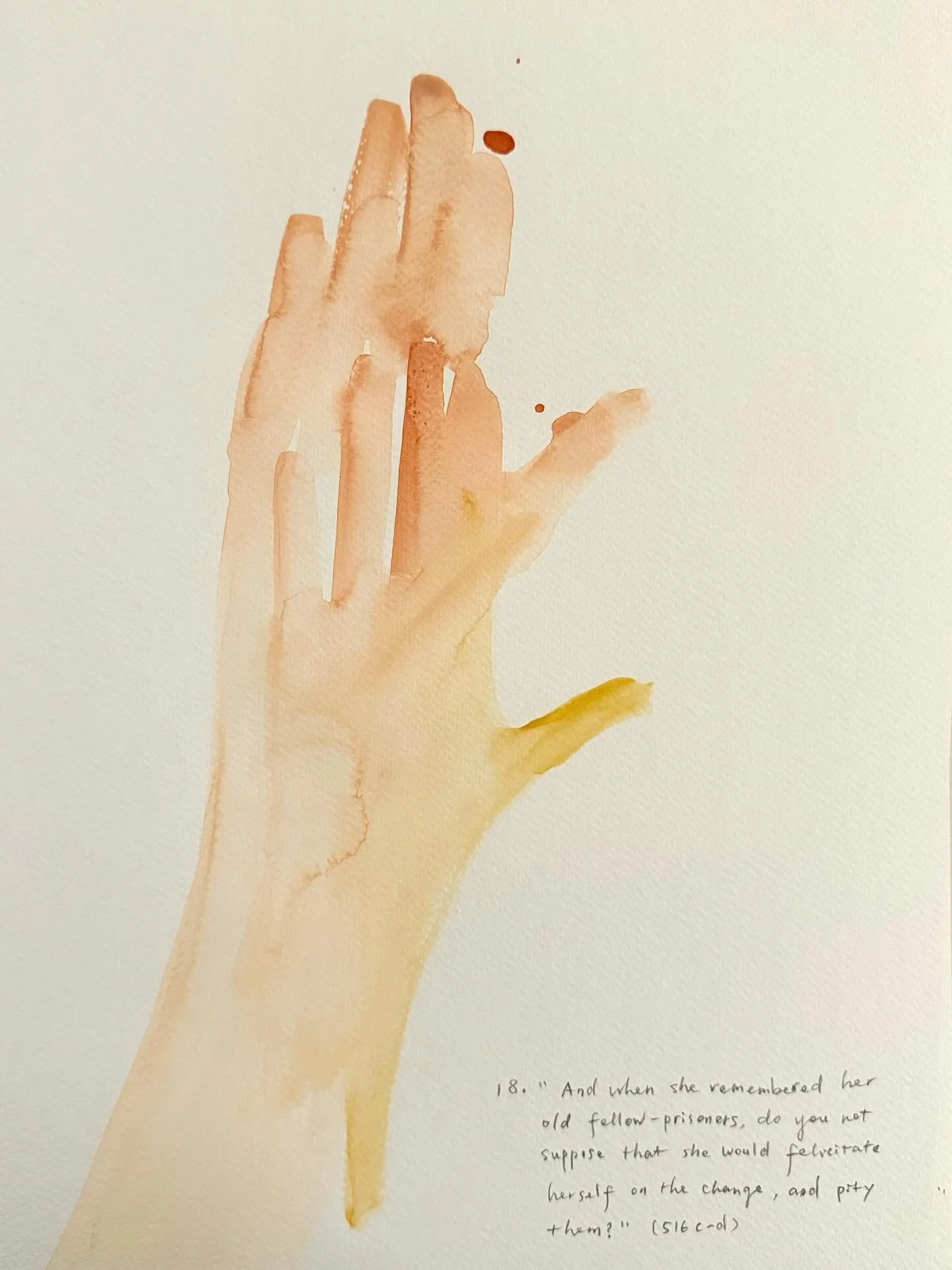 Shadow No. 18.	&ldquo;And when she remembered her old fellow-prisoners, do you not suppose that she would felicitate herself on the change, and pity them?&rdquo; (516c&ndash;d)

#Plato