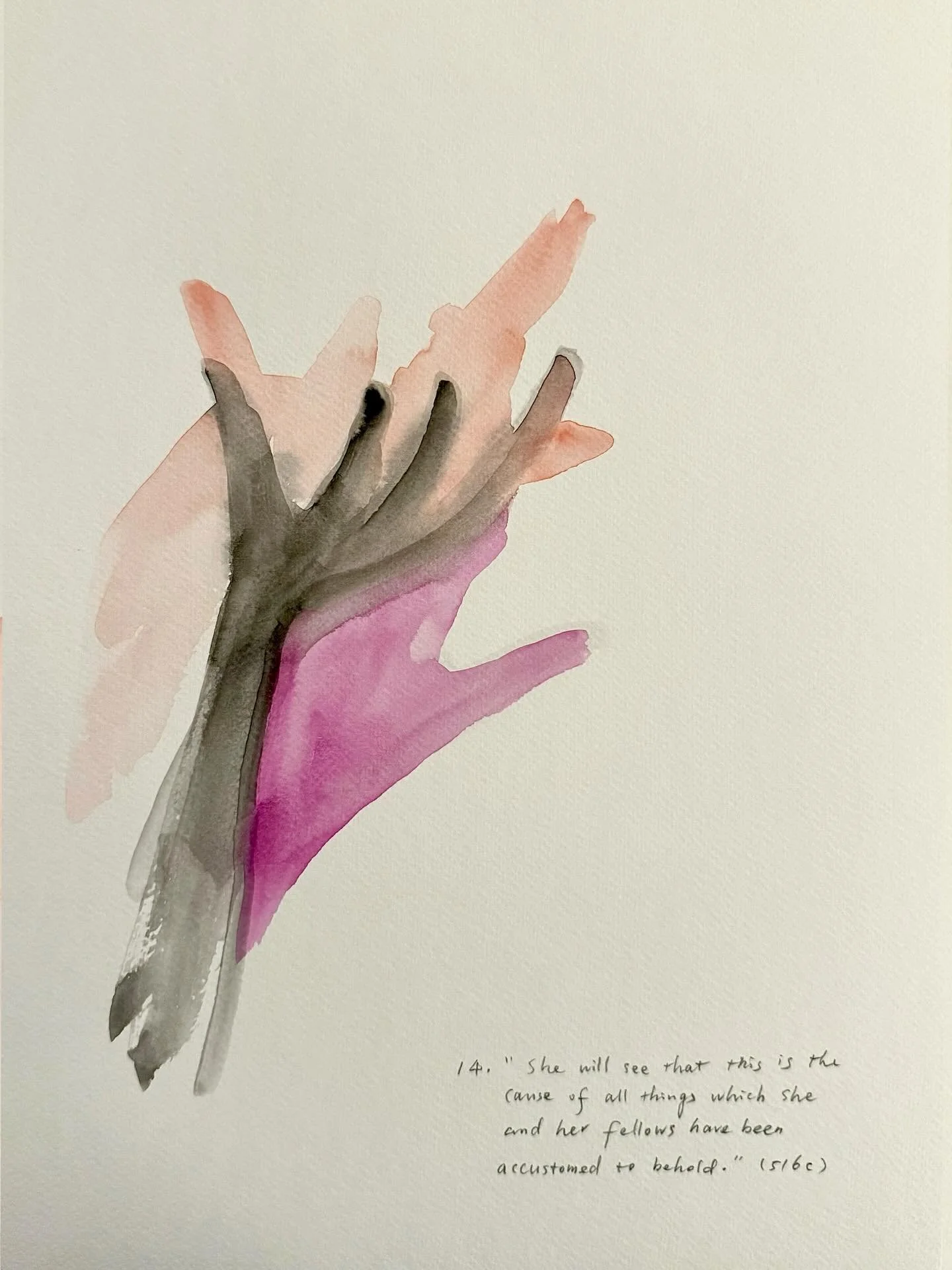 Shadow No. 14.	&ldquo;She will see that this is the cause of all things which she and her fellows have been accustomed to behold.&rdquo; (516c)

#Plato