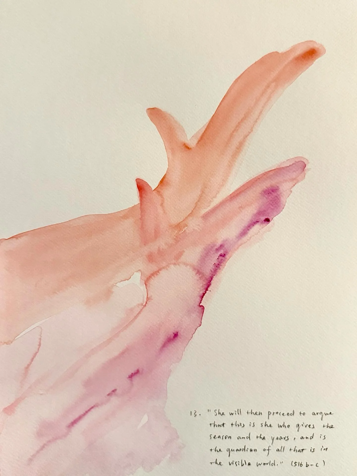Shadow No. 13.	&ldquo;She will then proceed to argue that this is she who gives the season and the years, and is the guardian of all that is in the visible world.&rdquo; (516b&ndash;c)

#Plato