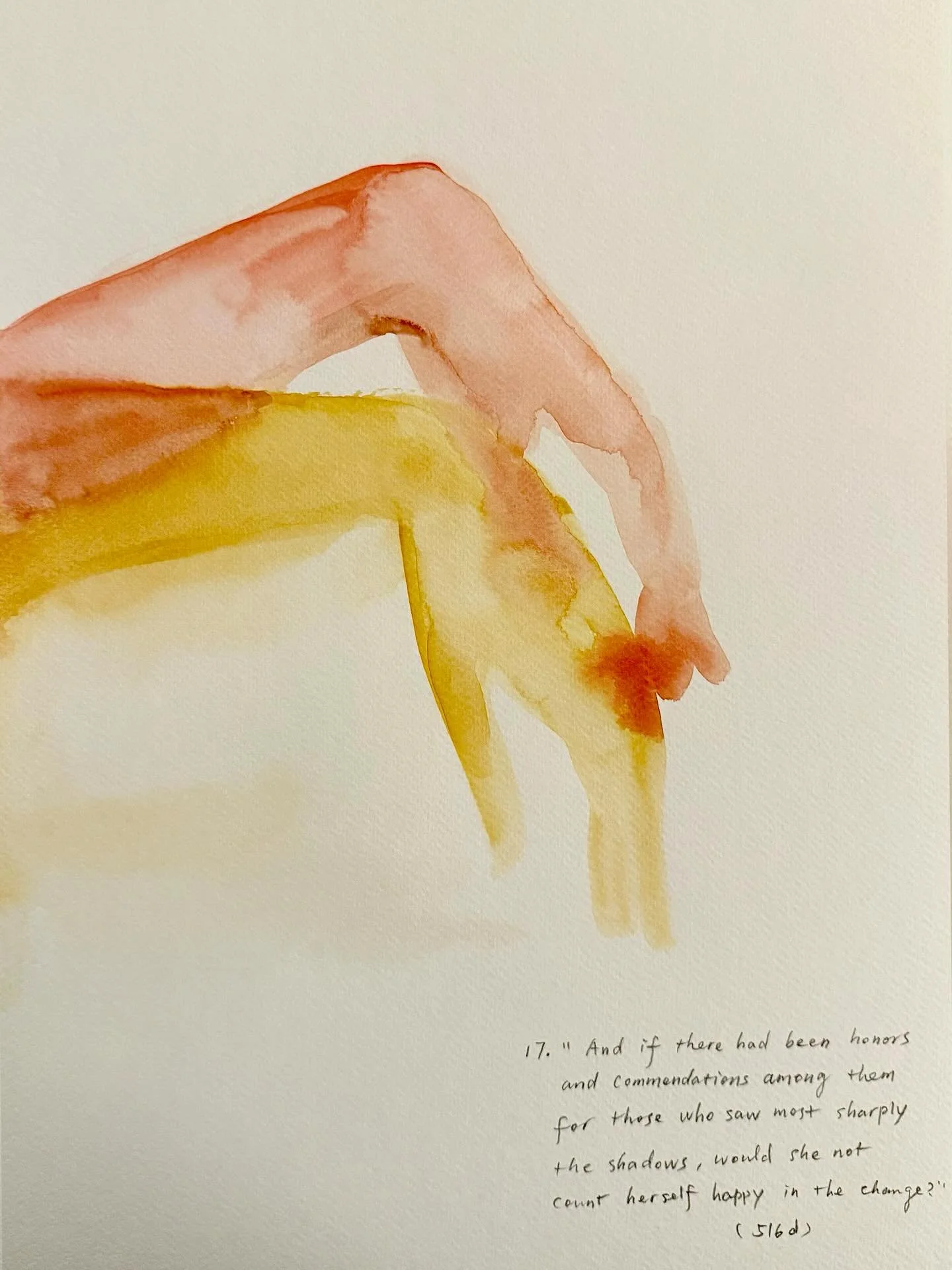 Shadow No. 17.	&ldquo;And if there had been honors and commendations among them for those who saw most sharply the shadows, would she not count herself happy in the change?&rdquo; (516d)

#Plato