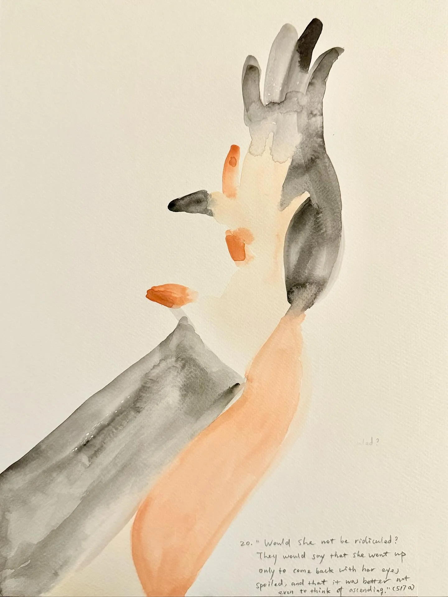 Shadow No. 20.	&ldquo;Would she not be ridiculed? They would say that she went up only to come back with her eyes spoiled, and that it was better not even to think of ascending.&rdquo; (517a)

#Plato