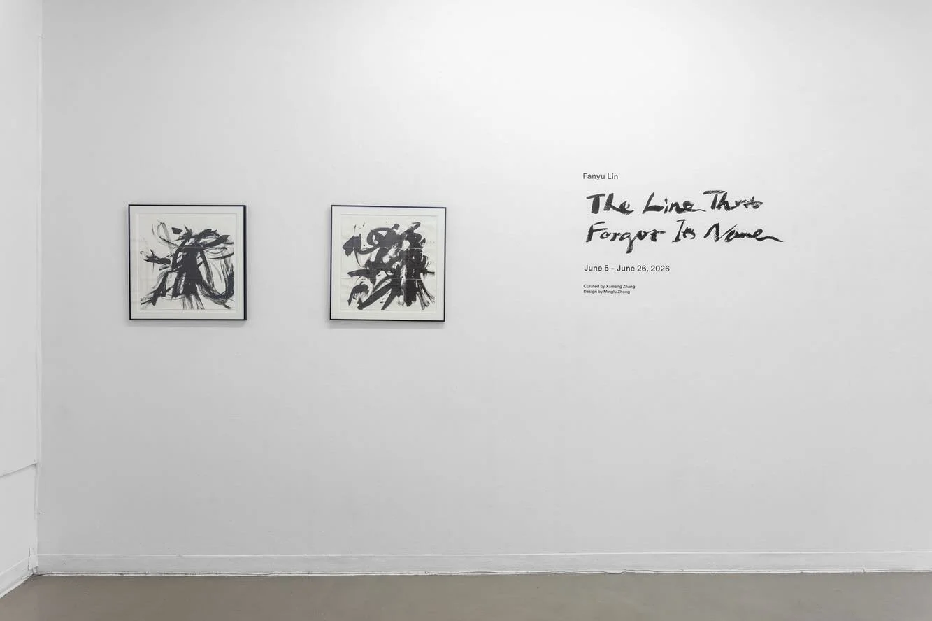 The Line that Forgot Its Name now on view through June 26, 2026 at the Chinese American Arts Council | Gallery 456 in New York, curated by Xumeng Zhang, design by Minglu Zhong. 

&ldquo;The Line That Forgot Its Name unfolds around the resilience of t