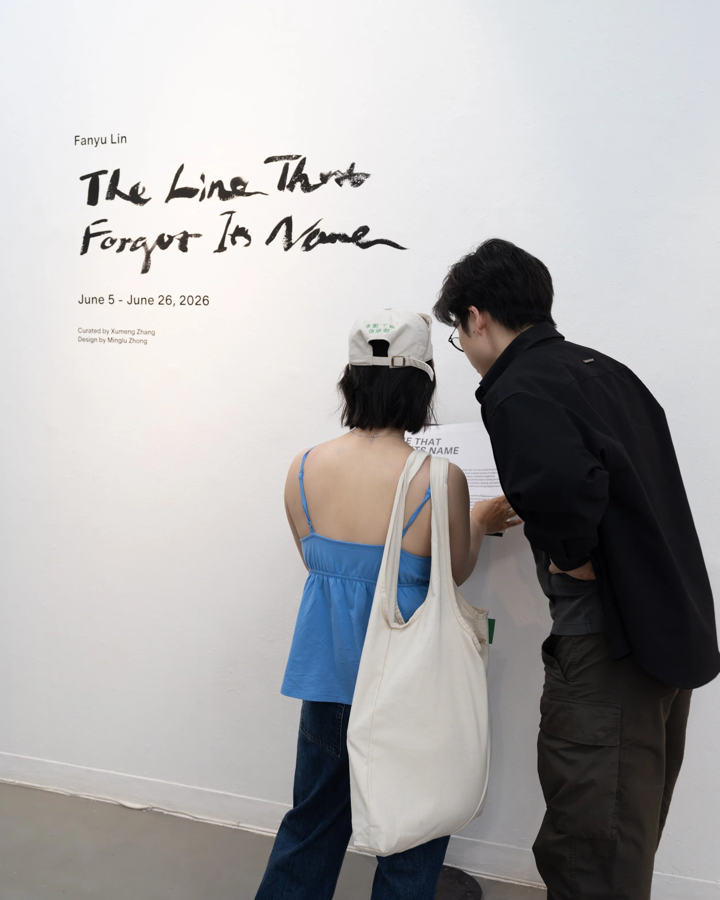 Fanyu Lin, The Line That Forgot Its Name_Exhibition Opening 25.JPG