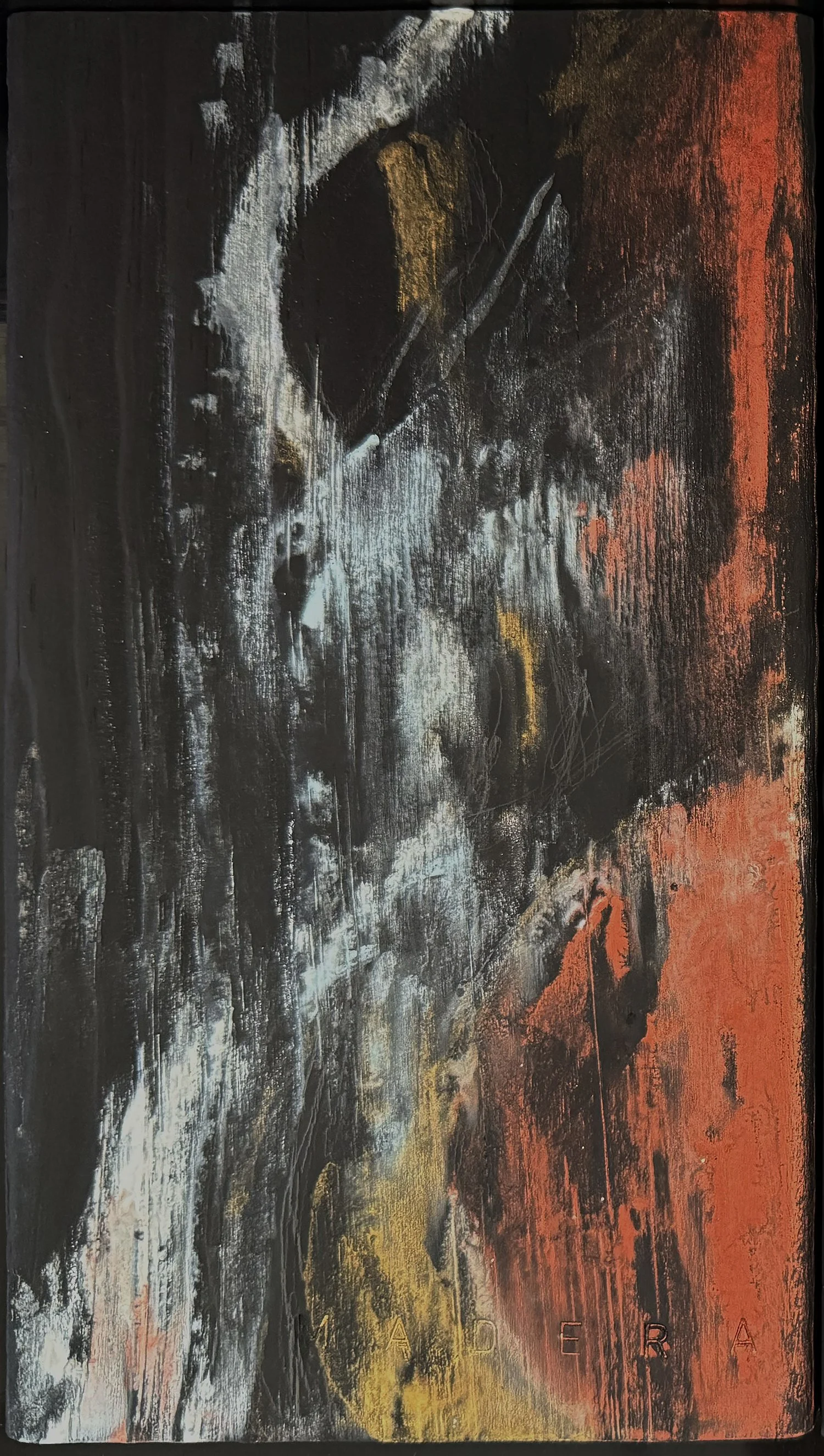 Fanyu Lin, Heart Fast Panel 1 (2025).JPEG