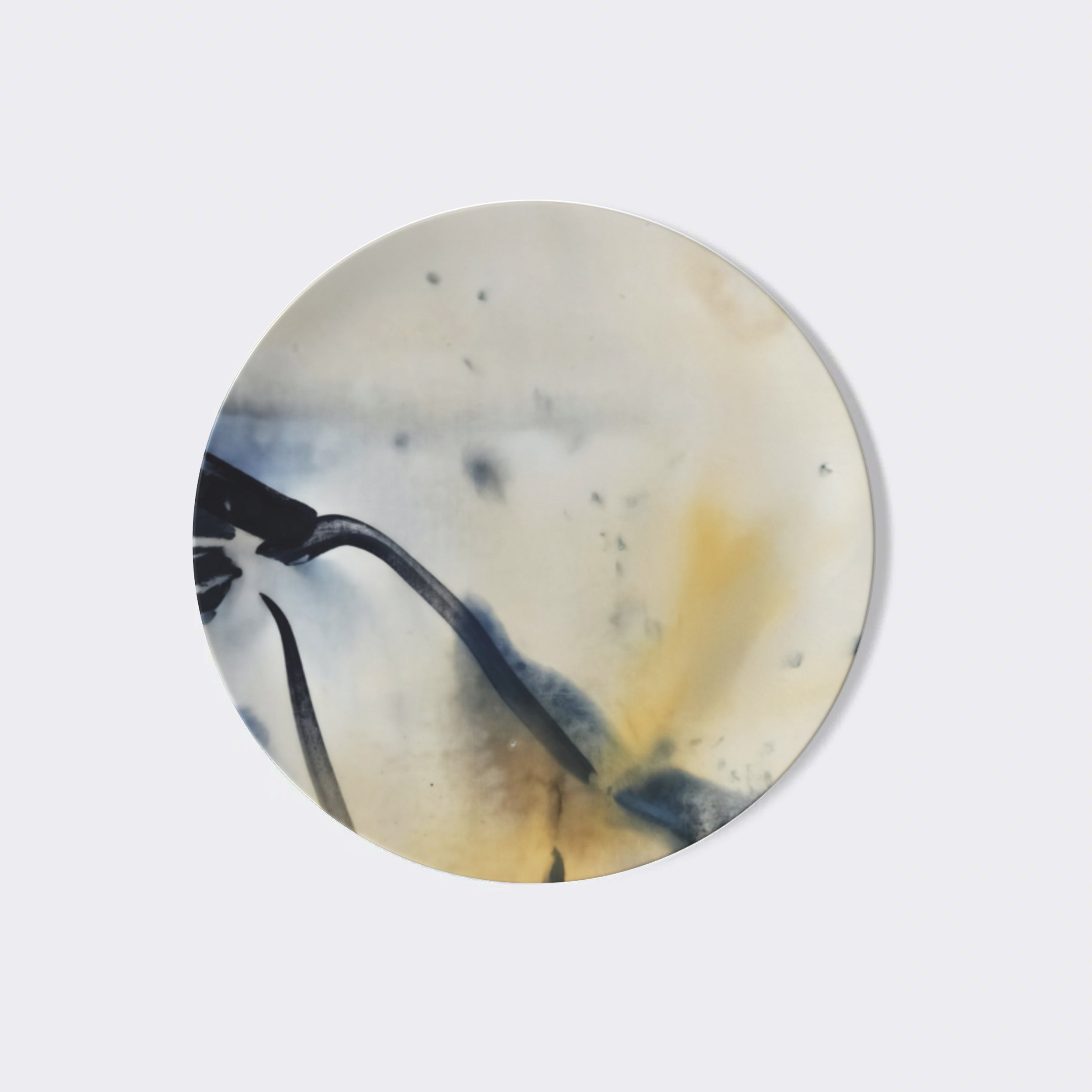 Fanyu Lin, Riding, China Plate 4.jpg