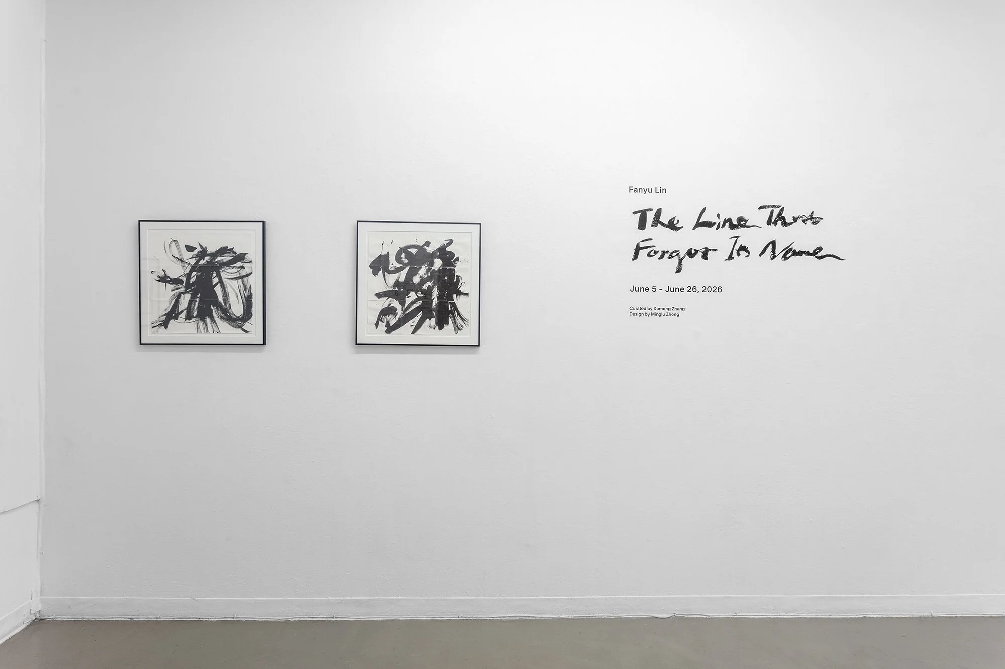 Fanyu Lin, The Line That Forgot Its Name_Installation View 1.jpg