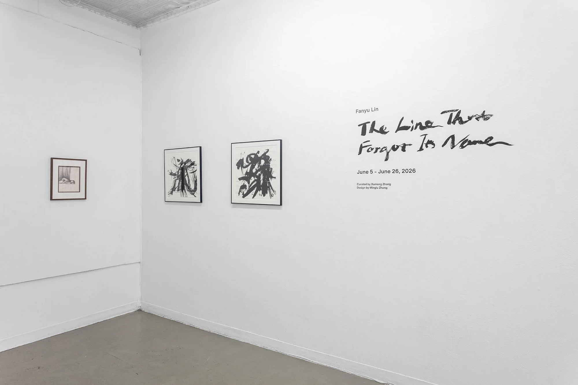 Fanyu Lin, The Line That Forgot Its Name_Installation View 2.jpg