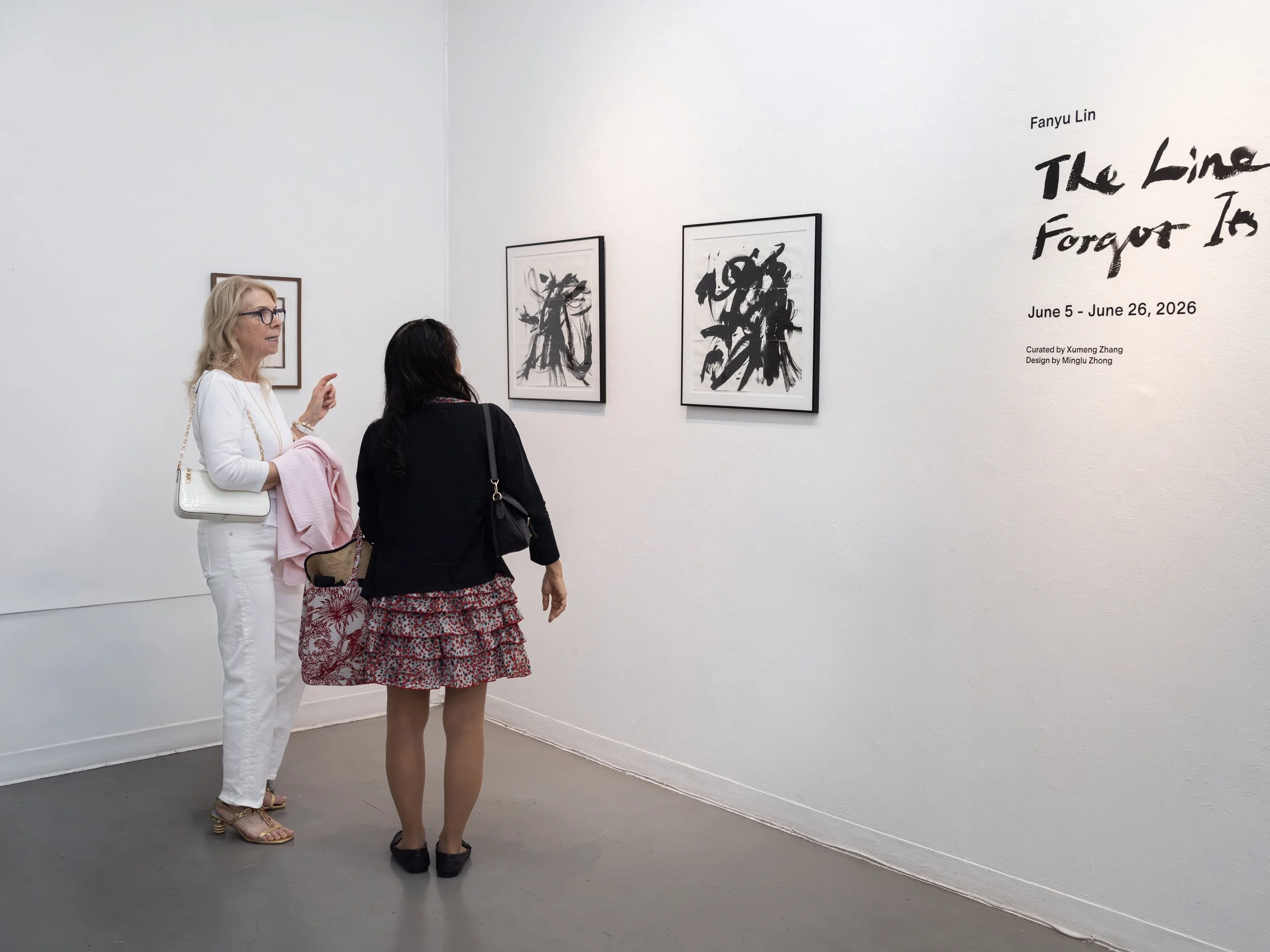 Fanyu Lin, The Line That Forgot Its Name_Exhibition Opening 34.JPG