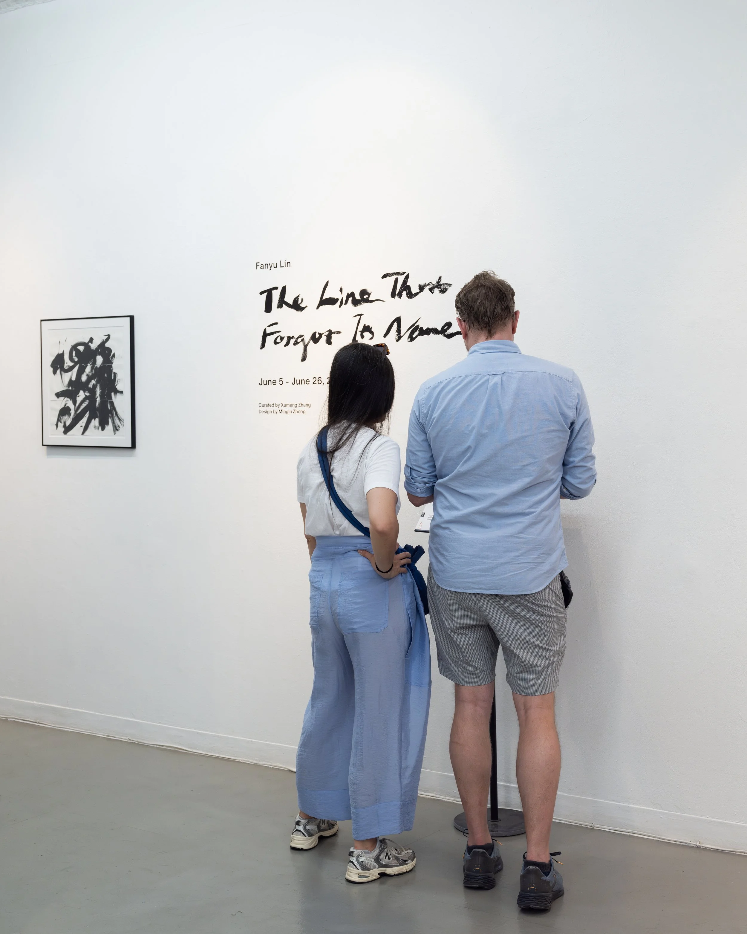 Fanyu Lin, The Line That Forgot Its Name_Exhibition Opening 20.JPG