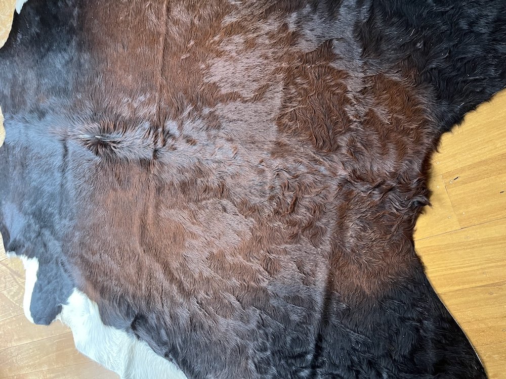 cowhide-closeup.jpeg
