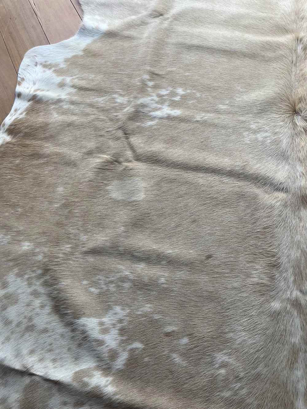 cowhide-light-honey.jpeg