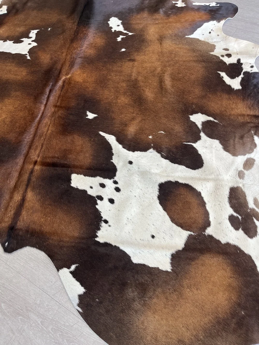 cowhide-2-dark-brown-and-white.jpeg