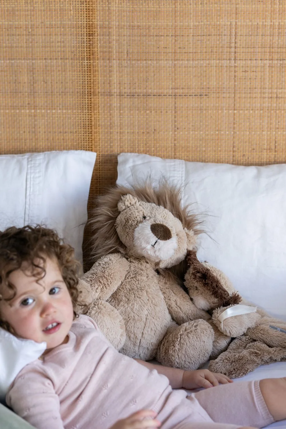 lewis-the-lion-toy.jpg