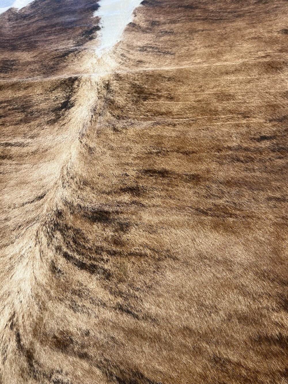 cowhide-1-close-up.jpeg