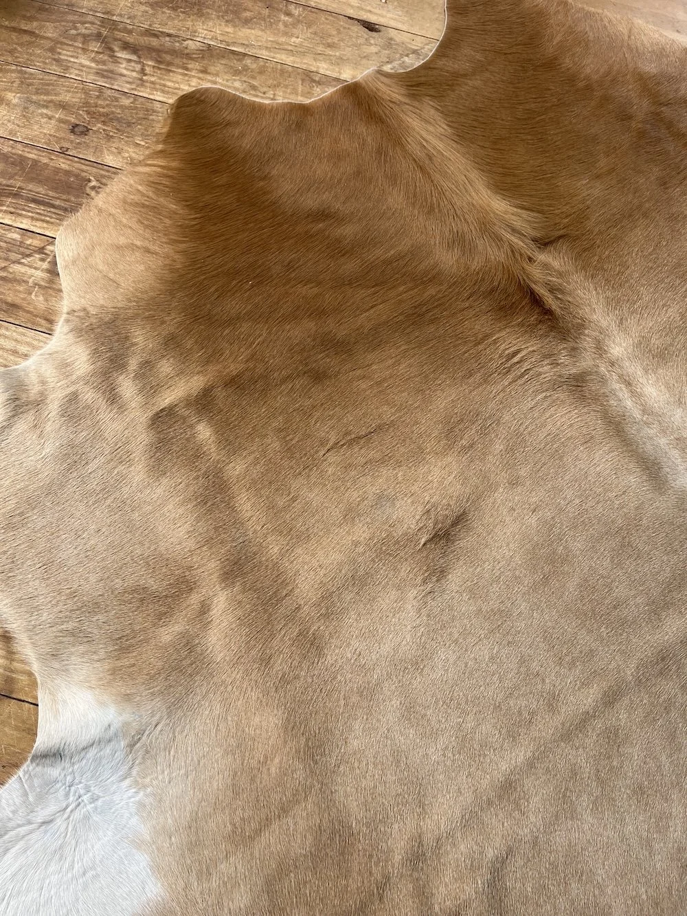 caramel-coloured-cowhide-rug.jpeg