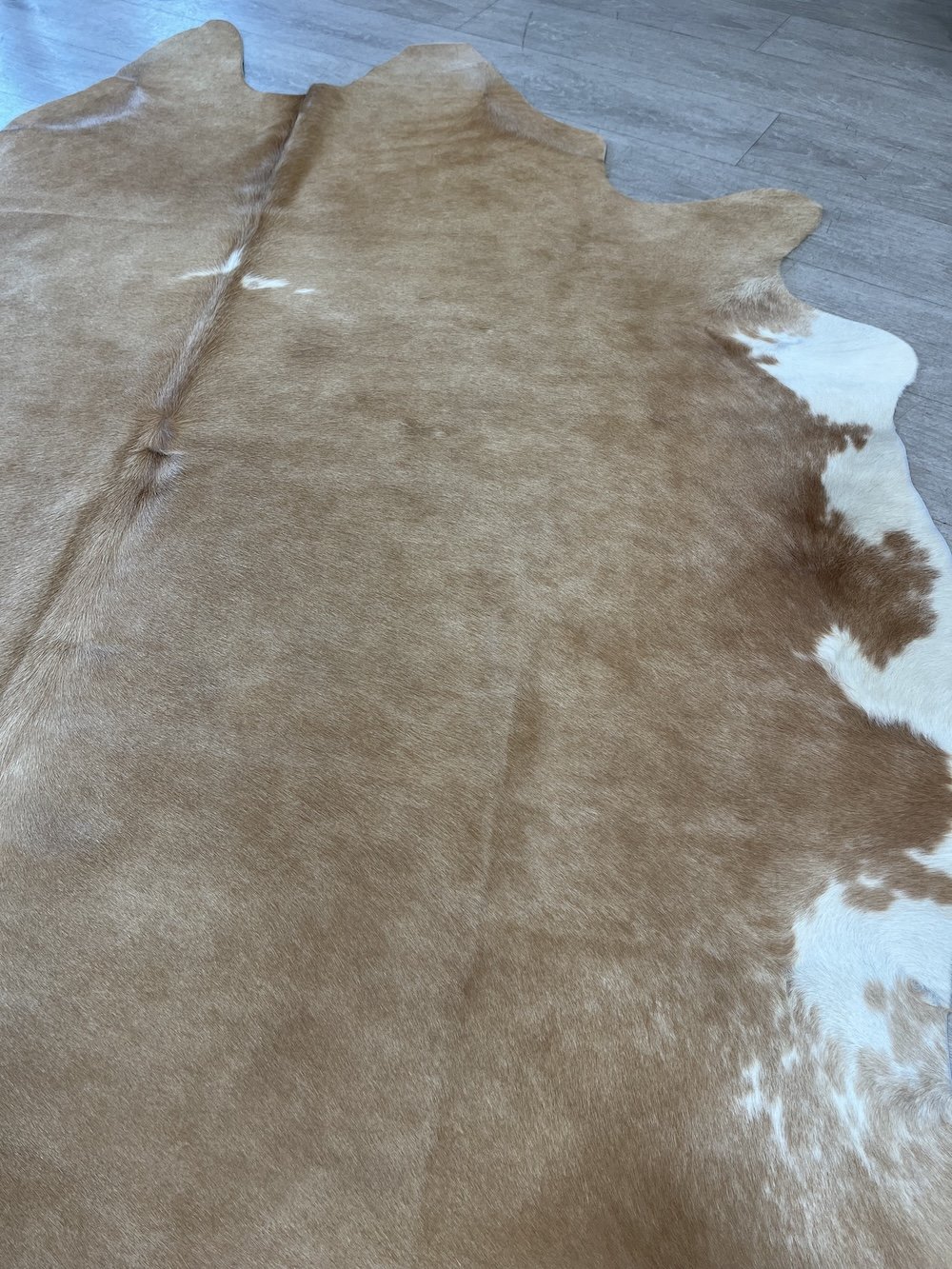 caramel-honey-tan-cowhide.jpeg