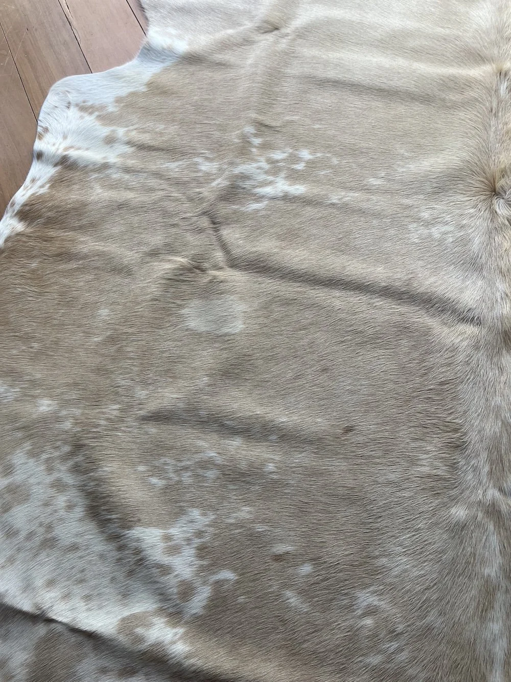 cowhide-light-creamy-honey-and-white.jpeg
