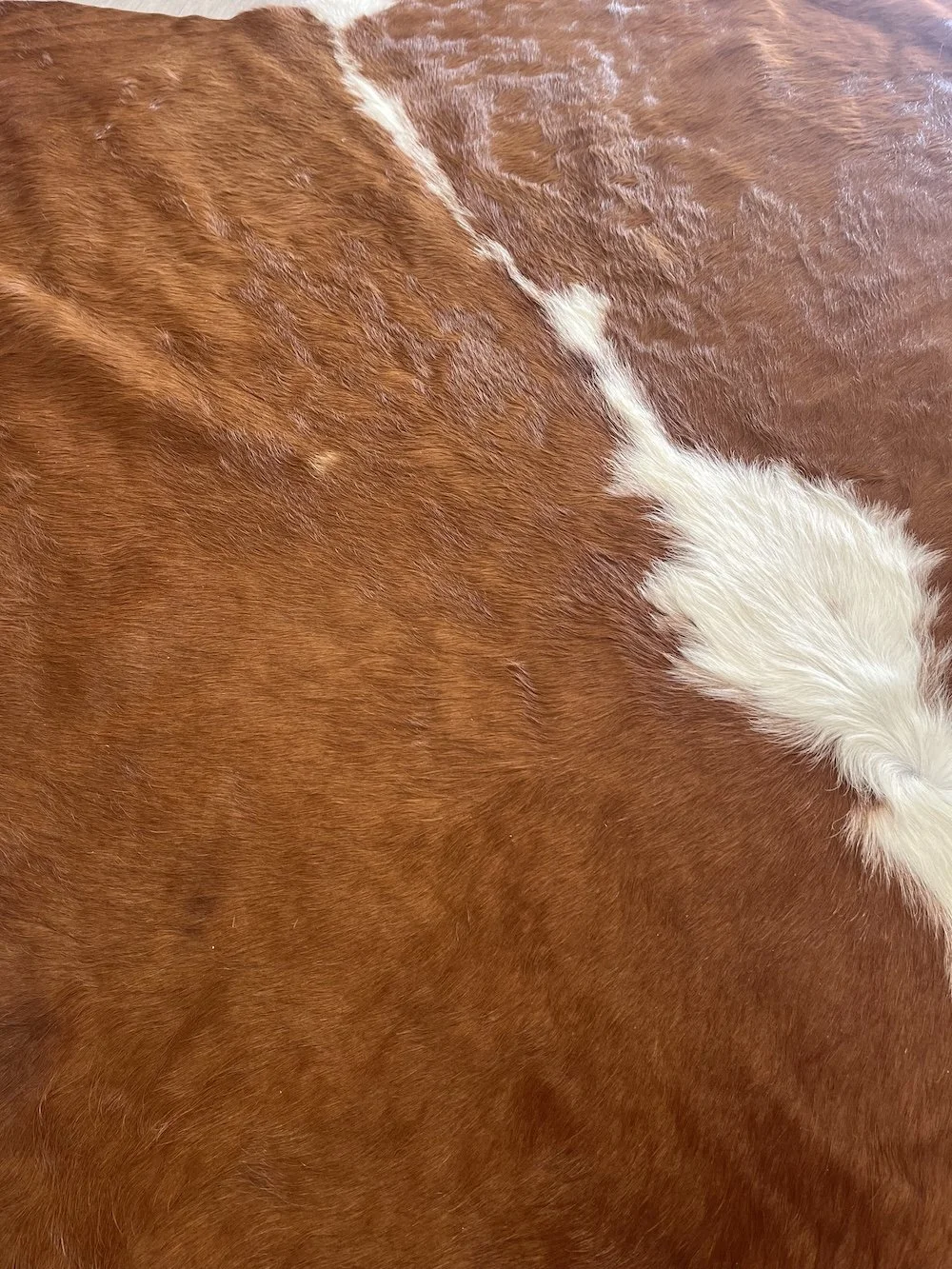 cowhide-2.jpeg