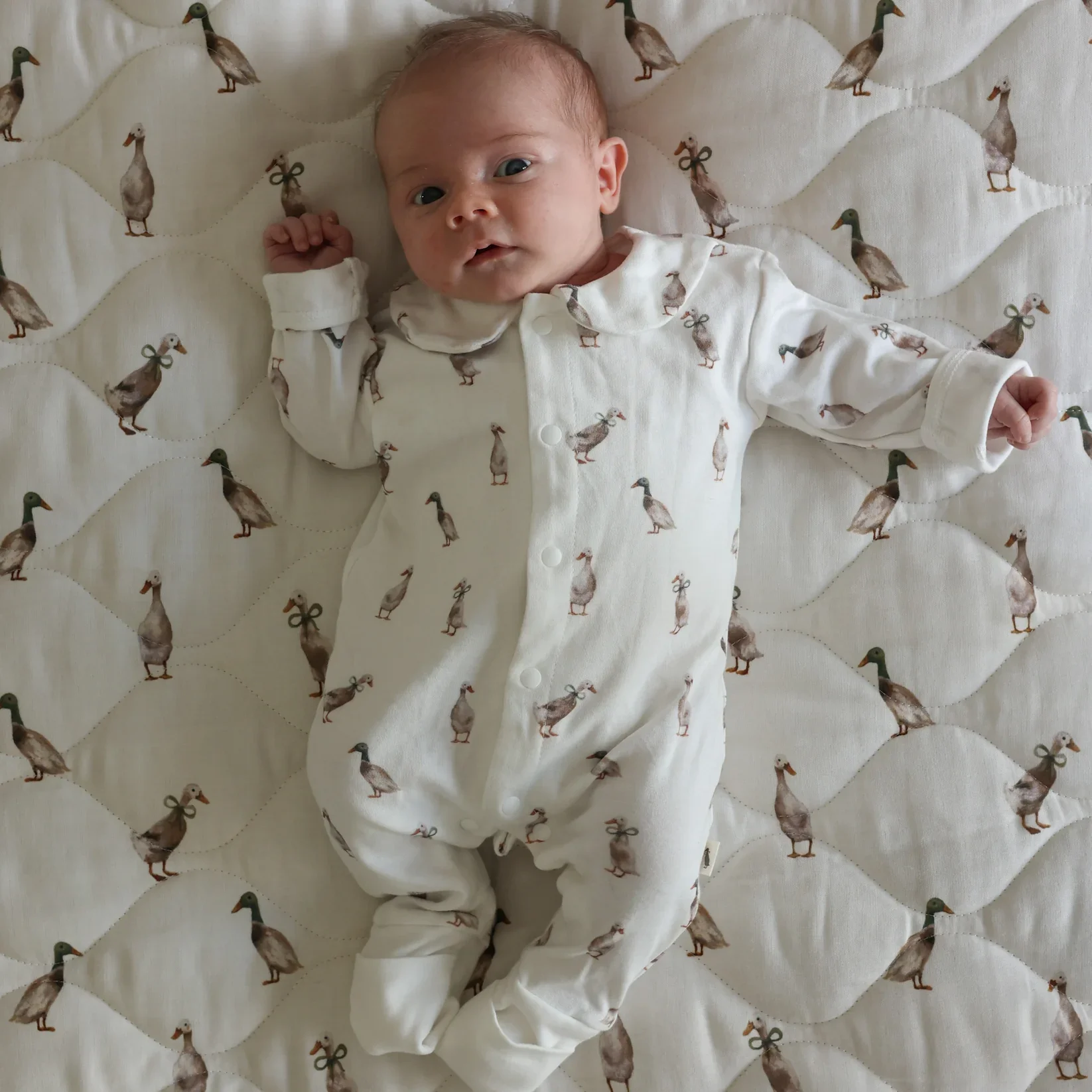 fledge-and-thread-babygrow-duck-albury.webp