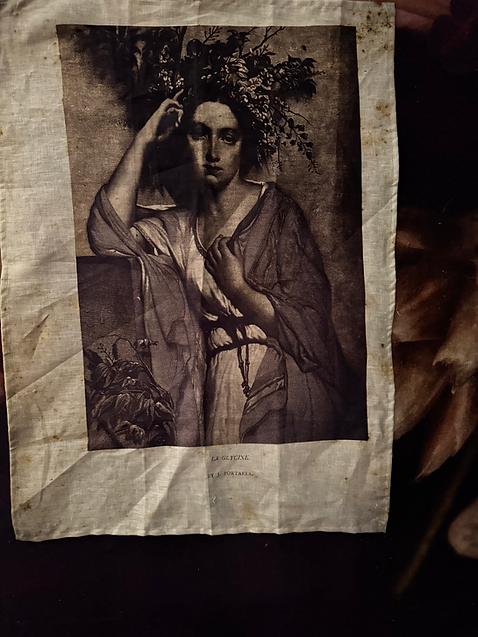 La-glycine-teatowel.png