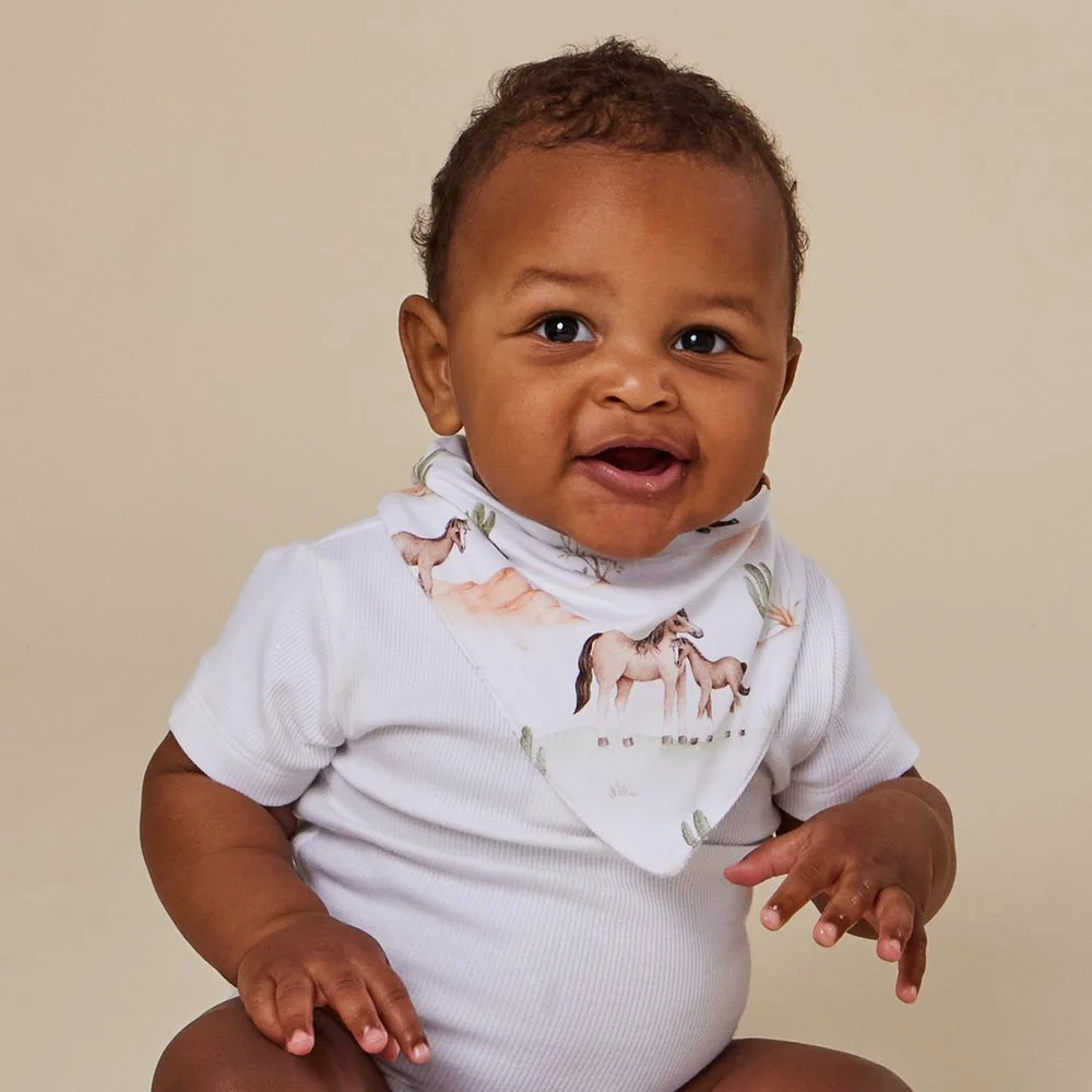 wild-horses-dribble-bib-snuggle-hunny.jpg