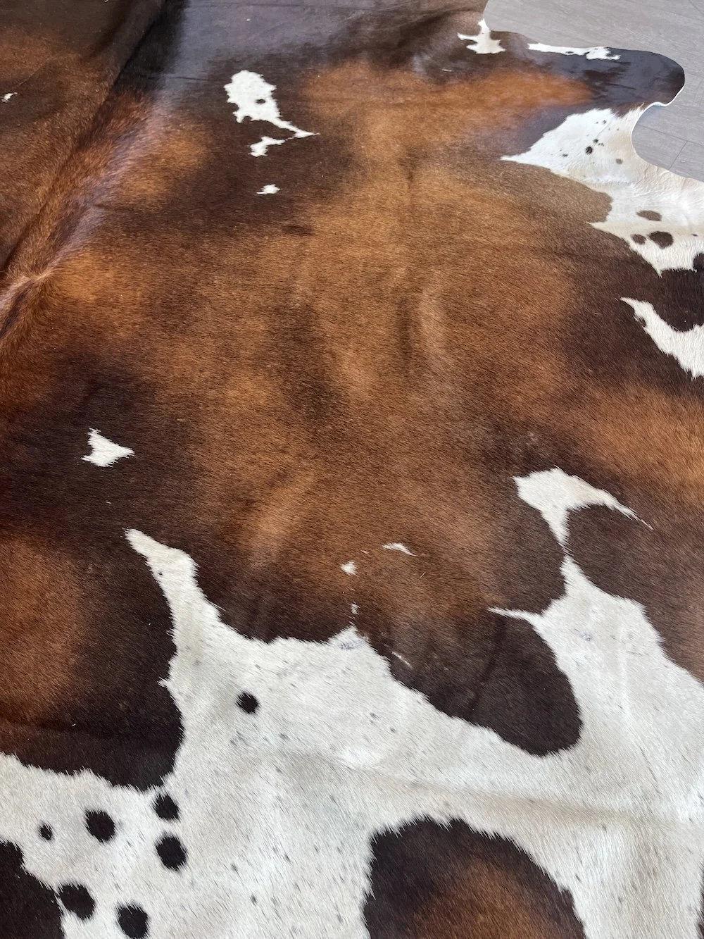 cowhide-dark-brown-and-white.jpeg