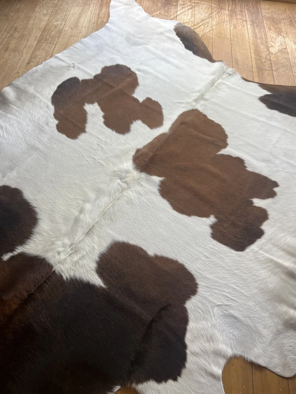 cowhide-white-with-brown-splotches.jpeg