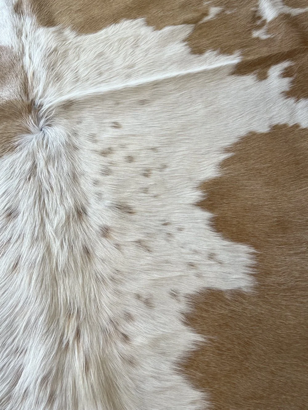 cowhide-caramel-and-white.jpeg