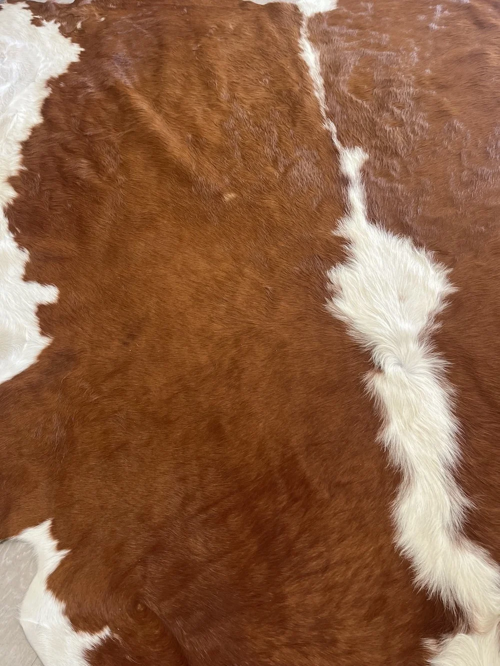 hereford-cowhide-close-up.jpeg