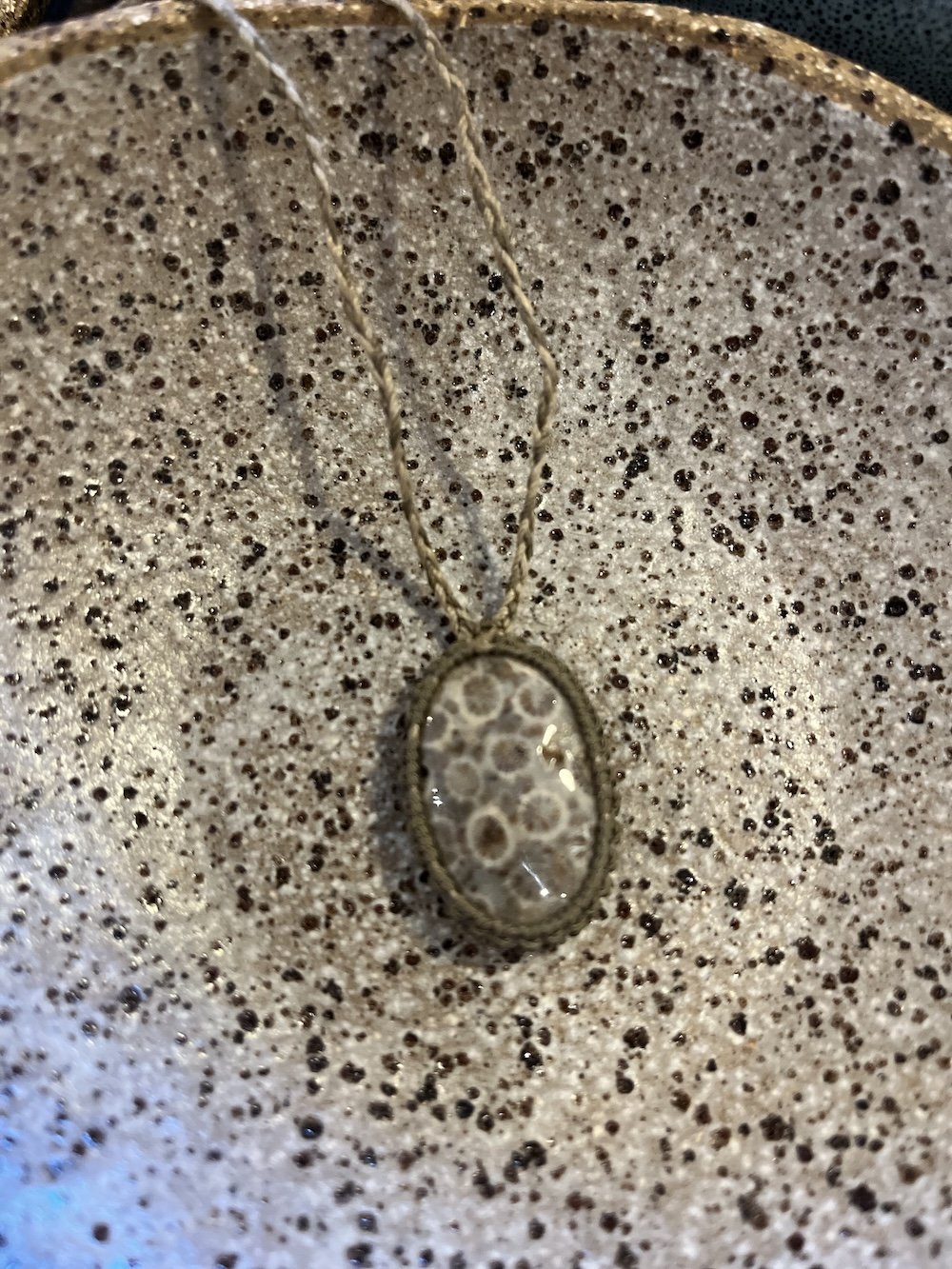 fossilised coral necklace.jpeg
