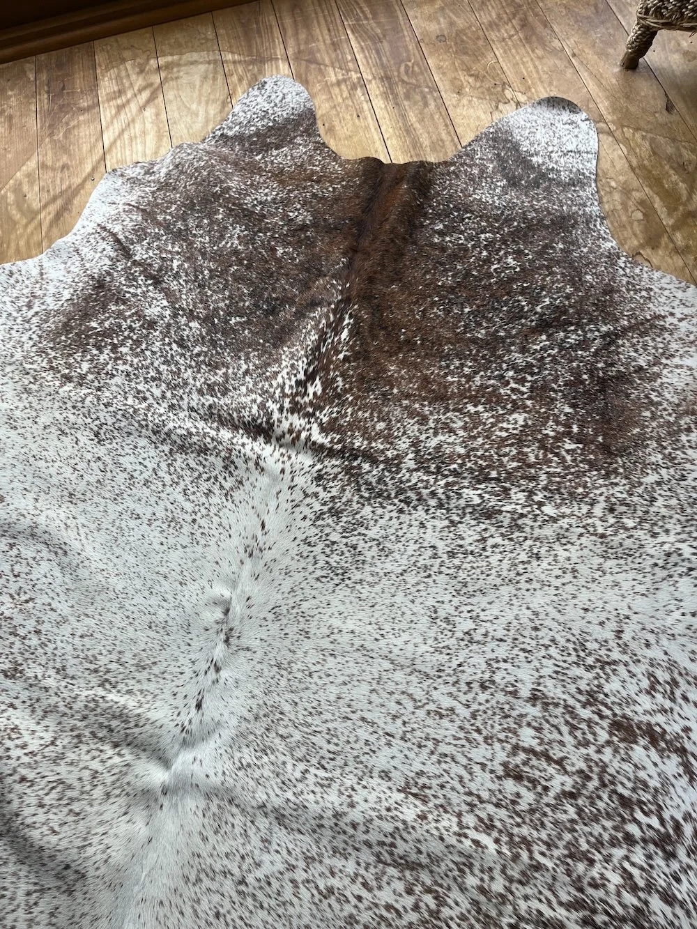 cowhide-salt-and-papper.jpeg