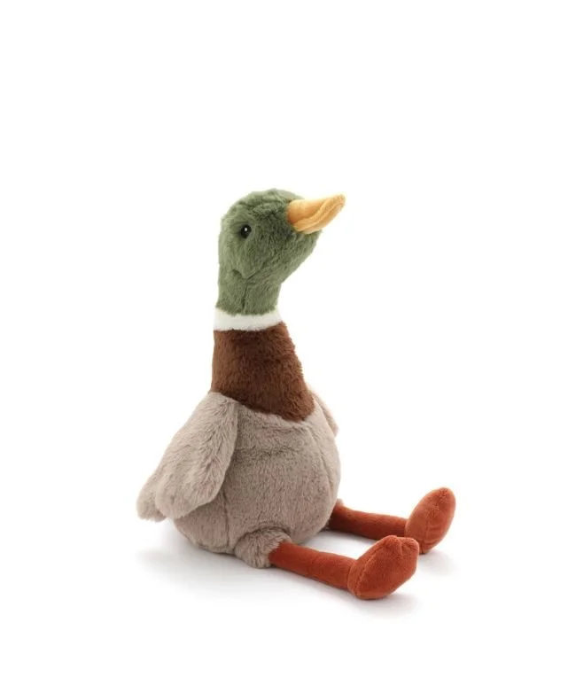hugo-the-mallard-duck.jpg