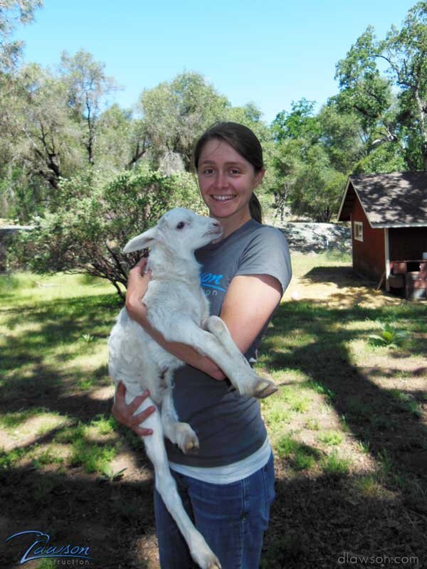  After taking many photos of Channa's beautiful home and surrounding property Channa insisted it was my turn to have a photo taken. She scooped up one of her lambs and here I am below holding the little guy. 